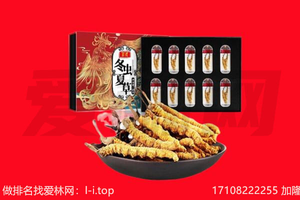 太原清徐县回收虫草.jpg